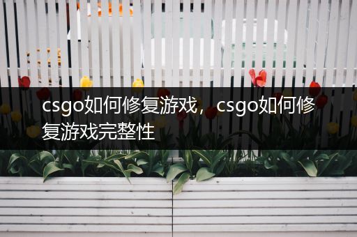csgo如何修复游戏，csgo如何修复游戏完整性