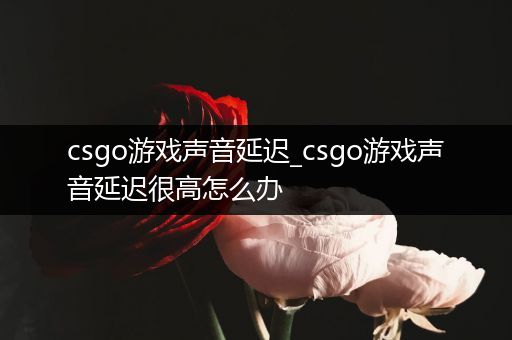 csgo游戏声音延迟_csgo游戏声音延迟很高怎么办