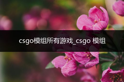csgo模组所有游戏_csgo 模组