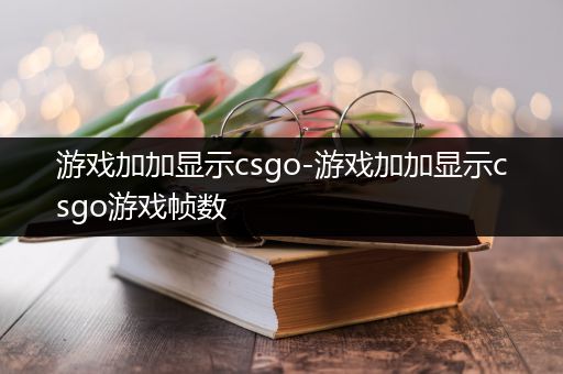 游戏加加显示csgo-游戏加加显示csgo游戏帧数