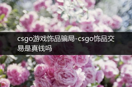 csgo游戏饰品骗局-csgo饰品交易是真钱吗