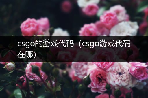 csgo的游戏代码（csgo游戏代码在哪）