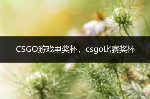 CSGO游戏里奖杯，csgo比赛奖杯