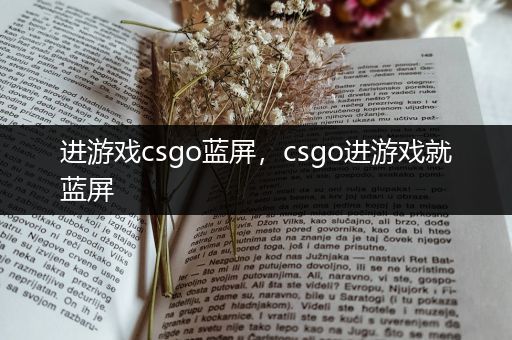 进游戏csgo蓝屏，csgo进游戏就蓝屏