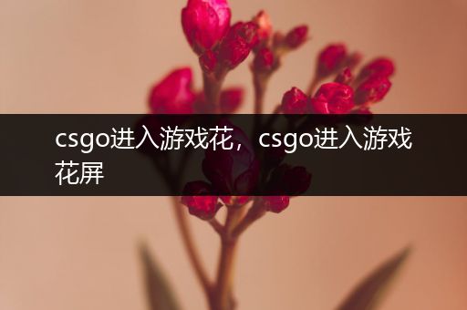 csgo进入游戏花，csgo进入游戏花屏