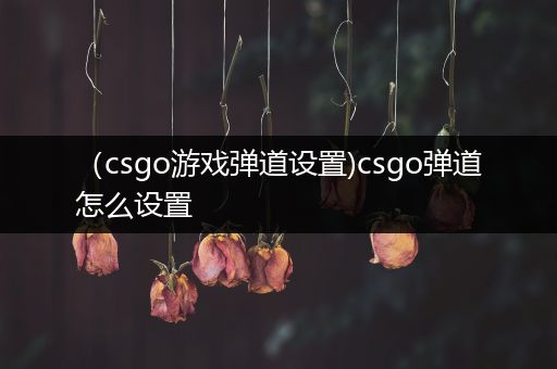 （csgo游戏弹道设置)csgo弹道怎么设置