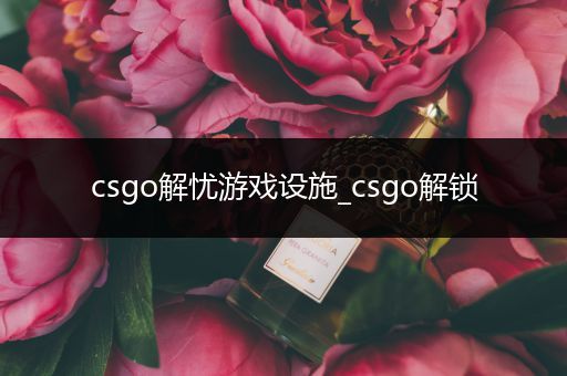 csgo解忧游戏设施_csgo解锁