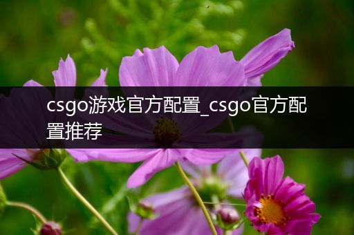 csgo游戏官方配置_csgo官方配置推荐