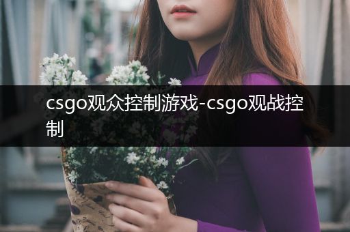 csgo观众控制游戏-csgo观战控制