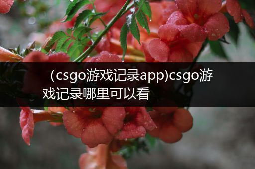 （csgo游戏记录app)csgo游戏记录哪里可以看