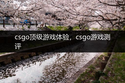 csgo顶级游戏体验，csgo游戏测评