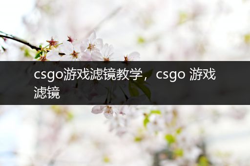 csgo游戏滤镜教学，csgo 游戏滤镜