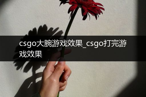 csgo大腕游戏效果_csgo打完游戏效果