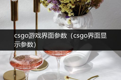 csgo游戏界面参数（csgo界面显示参数）