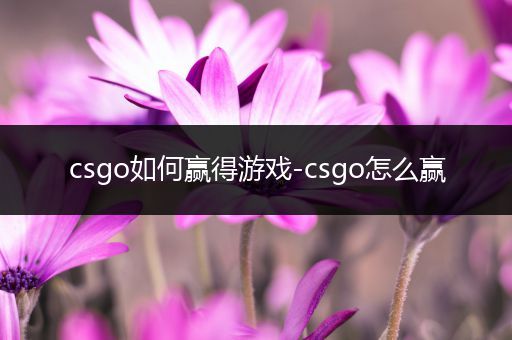 csgo如何赢得游戏-csgo怎么赢