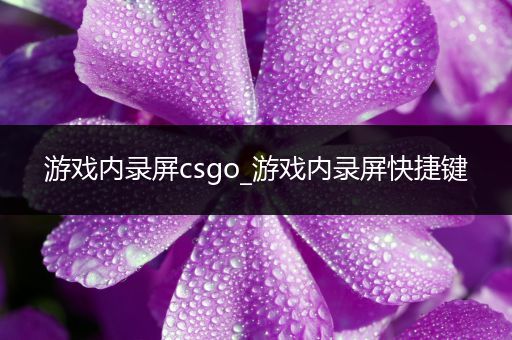 游戏内录屏csgo_游戏内录屏快捷键