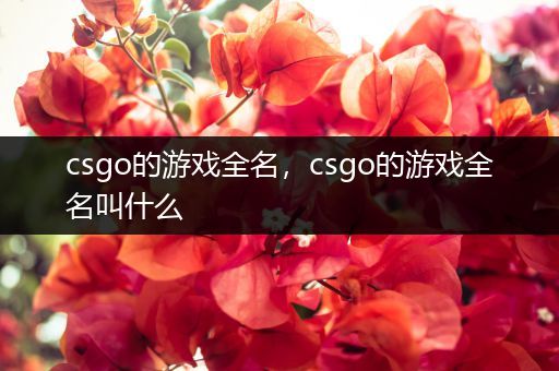 csgo的游戏全名，csgo的游戏全名叫什么