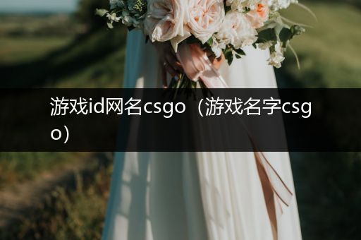 游戏id网名csgo（游戏名字csgo）