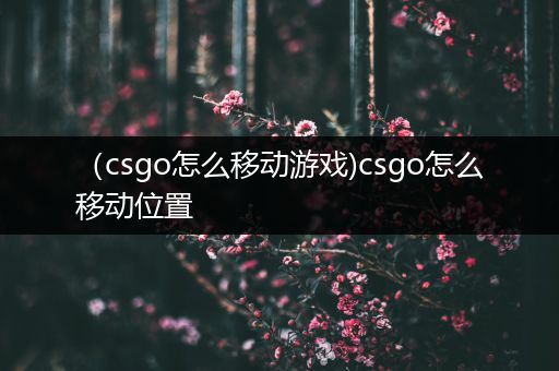 （csgo怎么移动游戏)csgo怎么移动位置