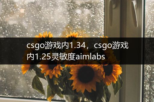 csgo游戏内1.34，csgo游戏内1.25灵敏度aimlabs