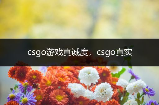 csgo游戏真诚度，csgo真实