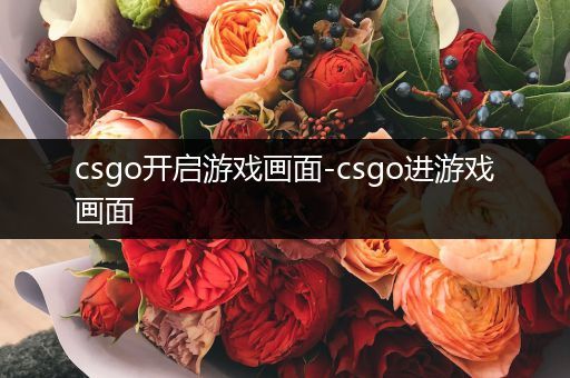 csgo开启游戏画面-csgo进游戏画面