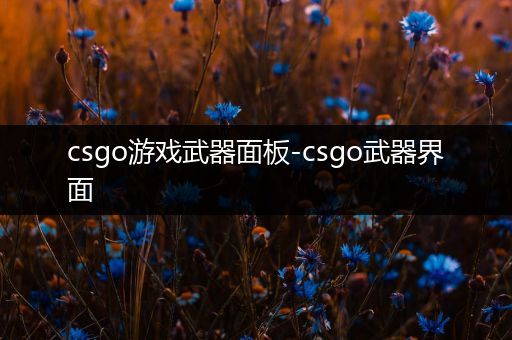 csgo游戏武器面板-csgo武器界面