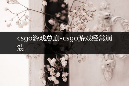 csgo游戏总崩-csgo游戏经常崩溃