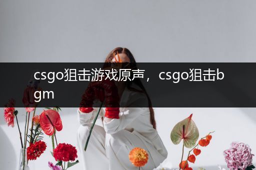 csgo狙击游戏原声，csgo狙击bgm