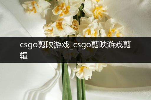 csgo剪映游戏_csgo剪映游戏剪辑