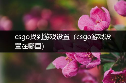 csgo找到游戏设置（csgo游戏设置在哪里）