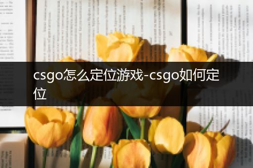 csgo怎么定位游戏-csgo如何定位