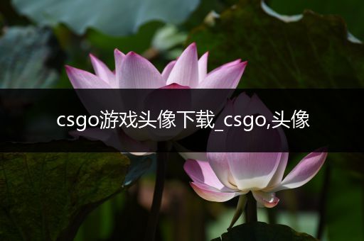 csgo游戏头像下载_csgo,头像