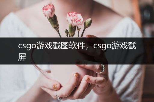 csgo游戏截图软件，csgo游戏截屏