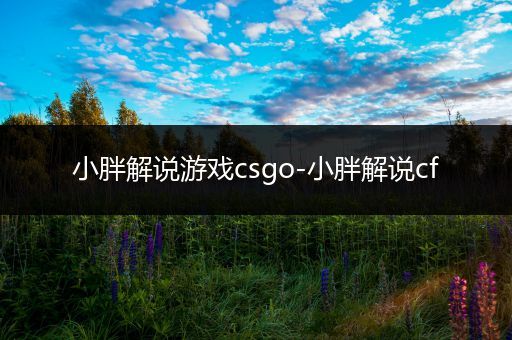 小胖解说游戏csgo-小胖解说cf