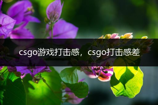 csgo游戏打击感，csgo打击感差