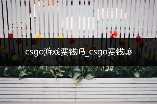 csgo游戏费钱吗_csgo费钱嘛