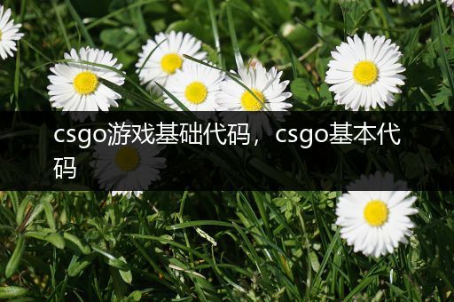 csgo游戏基础代码，csgo基本代码