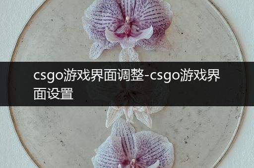 csgo游戏界面调整-csgo游戏界面设置