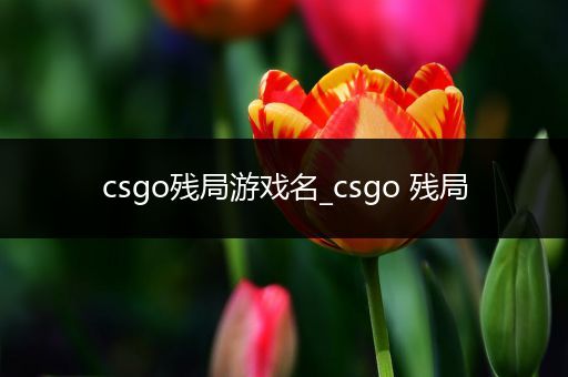 csgo残局游戏名_csgo 残局