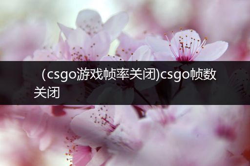 （csgo游戏帧率关闭)csgo帧数关闭