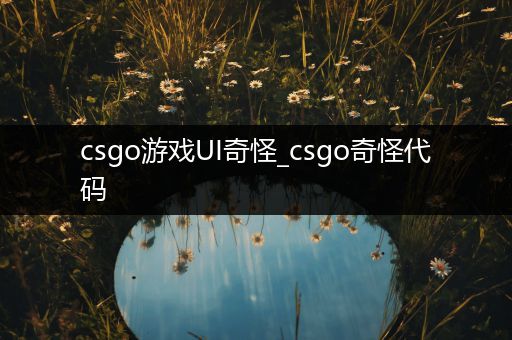 csgo游戏UI奇怪_csgo奇怪代码