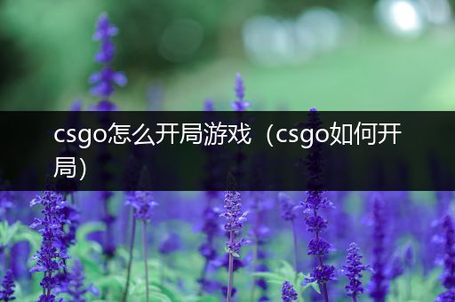 csgo怎么开局游戏（csgo如何开局）