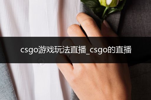 csgo游戏玩法直播_csgo的直播