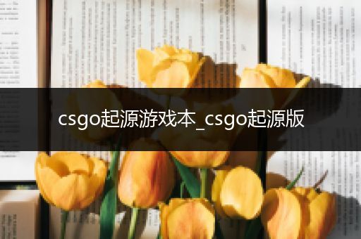 csgo起源游戏本_csgo起源版