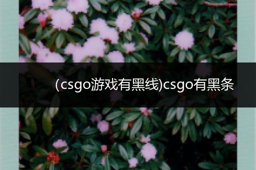 （csgo游戏有黑线)csgo有黑条