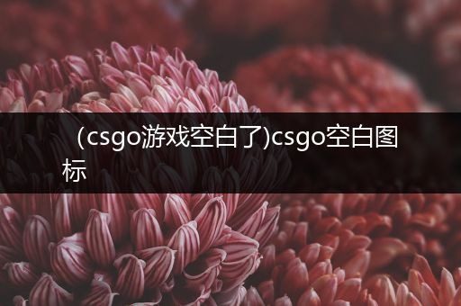 （csgo游戏空白了)csgo空白图标