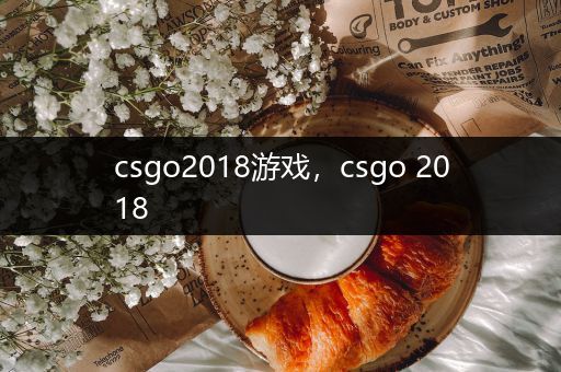 csgo2018游戏，csgo 2018