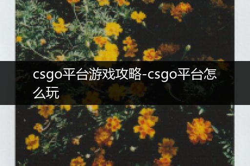 csgo平台游戏攻略-csgo平台怎么玩