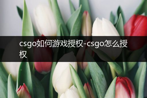 csgo如何游戏授权-csgo怎么授权